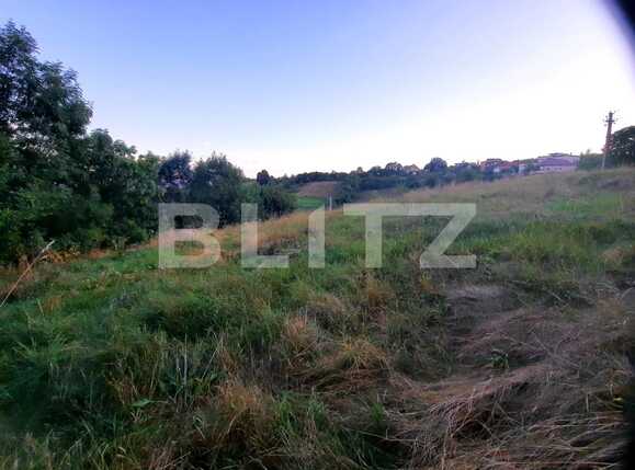 Teren de vânzare Feleacu - 82203TV | BLITZ Cluj-Napoca | Poza4