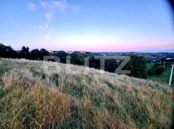 Teren de vânzare Feleacu - 82203TV | BLITZ Cluj-Napoca | Poza3