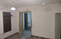 Spatiu comercial, 462 MP, Dambul Rotund