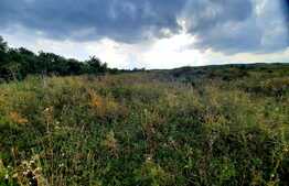 Teren intravilan de 5800 mp, situat in Padureni