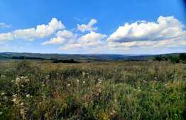 Teren intravilan de 5800 mp, situat in Padureni