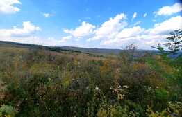 Teren intravilan de 5800 mp, situat in Padureni