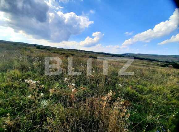 Teren de vânzare Padureni (Chinteni) - 82205TV | BLITZ Cluj-Napoca | Poza4