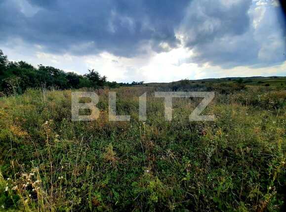 Teren de vânzare Padureni (Chinteni) - 82205TV | BLITZ Cluj-Napoca | Poza6