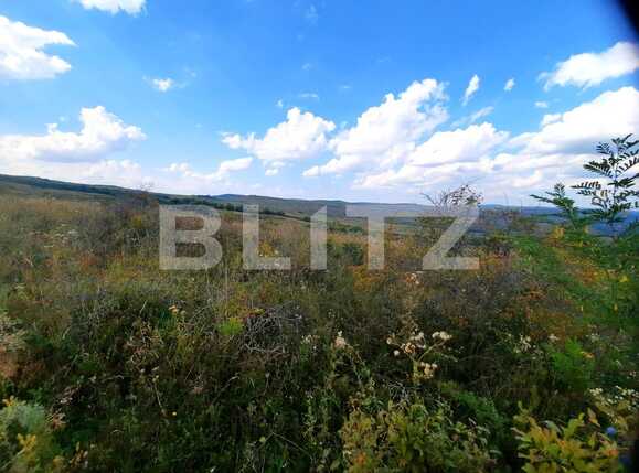 Teren de vânzare Padureni (Chinteni) - 82205TV | BLITZ Cluj-Napoca | Poza3