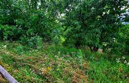 Teren intravilan 1215 mp, situat in zona exclusivista a cartierului Gruia