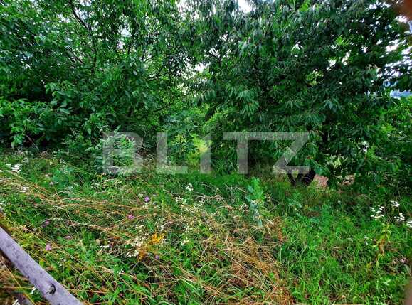 Teren de vânzare Gruia - 82206TV | BLITZ Cluj-Napoca | Poza4