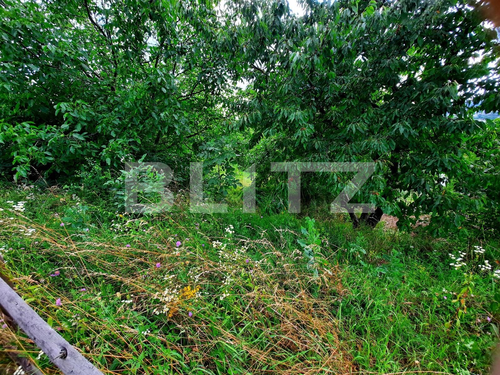 Teren de vânzare Gruia - 82206TV | BLITZ Cluj-Napoca | Poza4