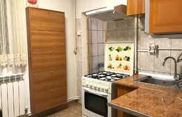 Apartament 2 camere, 40 mp, pet friendly, zona strazii Taberei