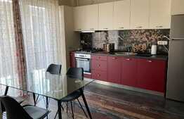 Apartament de 2 camere la cheie, parcare subterana, zona Vivo