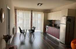 Apartament de 2 camere la cheie, parcare subterana, zona Vivo