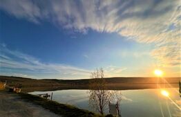 Casa individuala 210mp utili, 910mp teren,  Campenesti, locatie deosebita