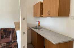 Garsoniera de 22 mp, etaj intermediar, zona Bartolomeu