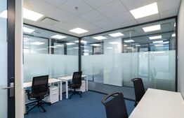 Birouri All-inclusive Regus, 2-22 persoane, mobilate si echipate,  Ultracentral