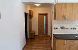 Apartament semidecomandat la cheie, aer conditionat, parcare, zona Penny Market