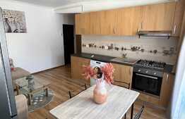 Apartament semidecomandat la cheie, aer conditionat, parcare, zona Penny Market