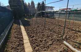 Casa de 122 mp, anexa de 174 mp, garaj de 62 mp, pivnita 25 mp, 967 mp teren