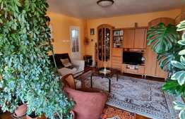 Casa de 122 mp, anexa de 174 mp, garaj de 62 mp, pivnita 25 mp, 967 mp teren