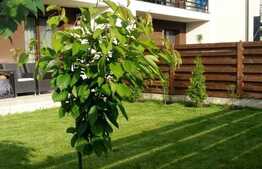 Duplex finisat si mobilat de vanzare, 130 mp, 250 teren, zona Parcul Poligonului 