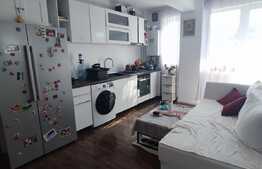 Apartament de 3 camere, 50 mp, mobilat, zona Terra!