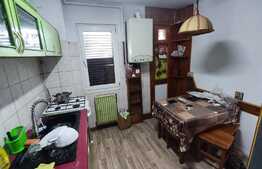 Apartament de 2 camere, 44 mp, zona Garii