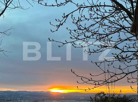 Casa de vânzare 3 camere Apahida - 82392CV | BLITZ Cluj-Napoca | Poza5