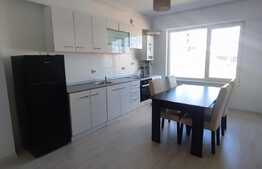 Apartament de 2 camere, finisat, zona Teilor!