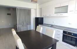 Apartament de 2 camere, finisat, zona Teilor!