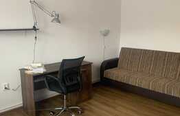 Garsoniera 26 mp, decomandată, recent renovată, cartierul Grigorescu