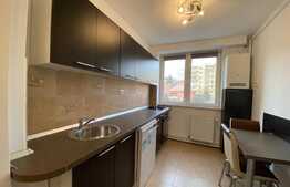 Apartament 3 camere, nemobilat, garaj, pet friendly, zona Taietura Turcului