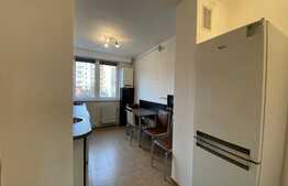 Apartament 3 camere, nemobilat, garaj, pet friendly, zona Taietura Turcului