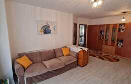 Apartament 2 camere, proaspat renovat, parcare, zona Terra