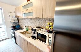 Apartament de 2 camere, 48mp, balcon cu priveliste, zona Porii