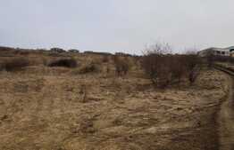 De vanzare teren intravilan de 6632 mp, Dezmir