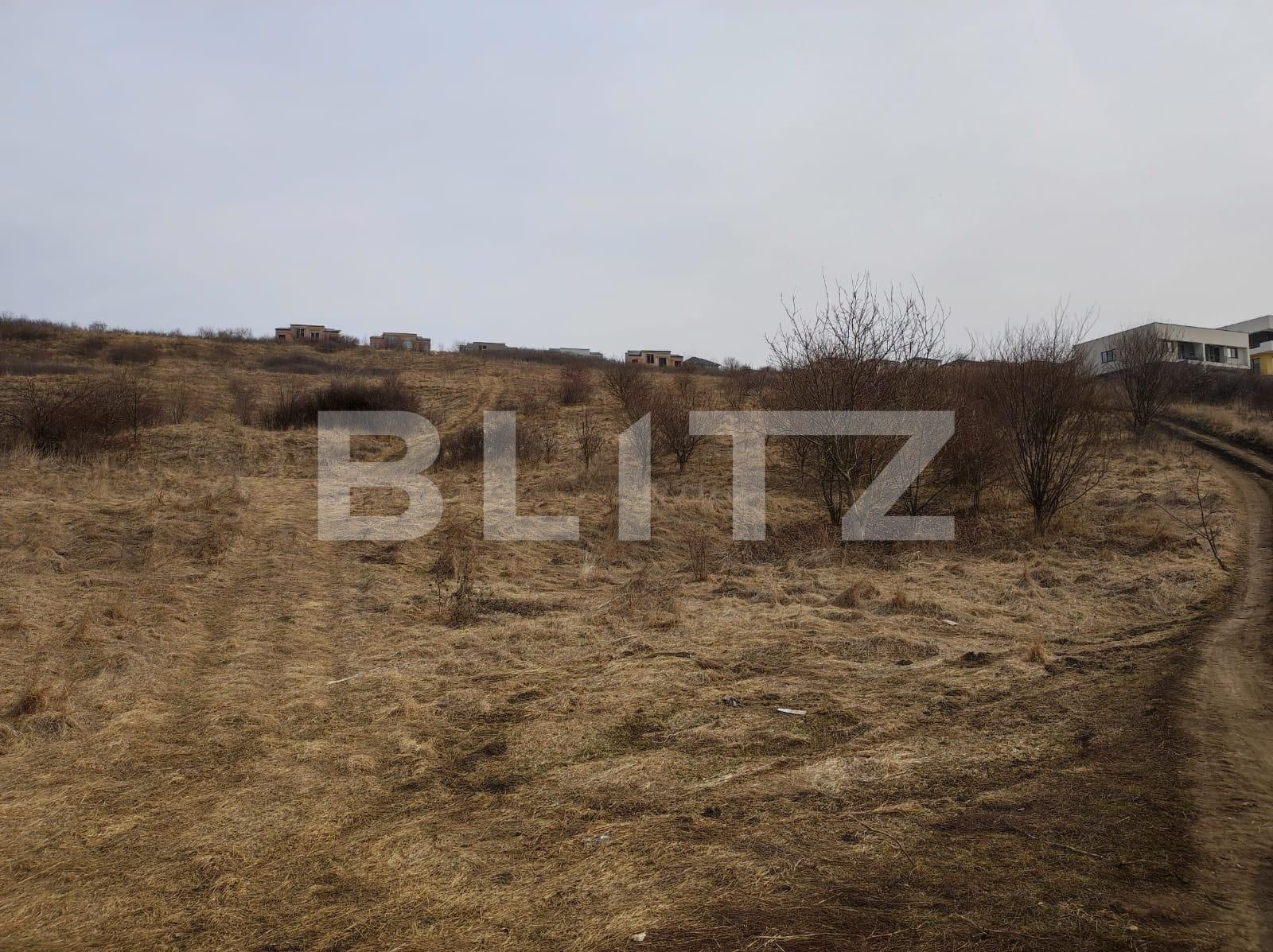 Teren de vânzare Dezmir - 82452TV | BLITZ Cluj-Napoca | Poza2