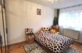 Apartament de 3 camere, decomandat, orientare S-V, zona Brancusi