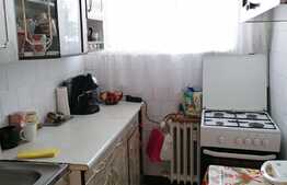 Apartament 2 camere, orientare sudică, Mănăștur