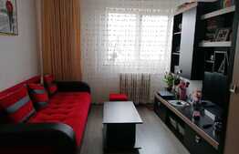 Apartament 2 camere, orientare sudică, Mănăștur