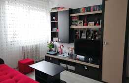 Apartament 2 camere, orientare sudică, Mănăștur