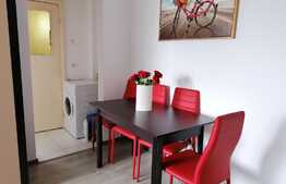 Apartament 2 camere, orientare sudică, Mănăștur