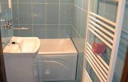 Apartament1 camera de vanzare, 28 mp utili, zona Mehedinti
