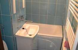 Apartament1 camera de vanzare, 28 mp utili, zona Mehedinti