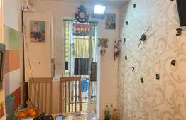 Apartament 2 camere, decomandat, zona parc Somes, parter, gradina