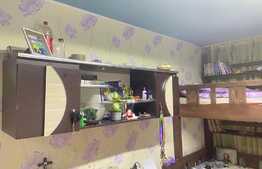 Apartament 2 camere, decomandat, zona parc Somes, parter, gradina