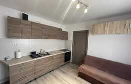 Apartament de 2 camere, decomandat, 50 mp, zona Regionala CFR