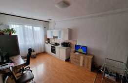 Apartament de vânzare 2 camere Dambul Rotund, Cluj-Napoca
