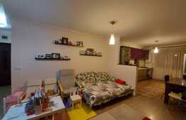 Apartament 3 camere, la cheie, spatios, 66 mp., zona Terra 