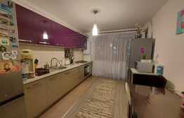 Apartament 3 camere, la cheie, spatios, 66 mp., zona Terra 