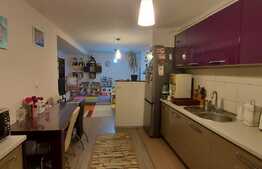 Apartament 3 camere, la cheie, spatios, 66 mp., zona Terra 