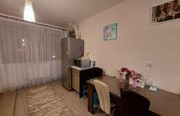 Apartament 3 camere, la cheie, spatios, 66 mp., zona Terra 